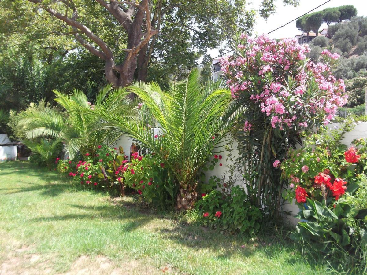 Palatino Studios Agia Paraskevi  Exterior photo